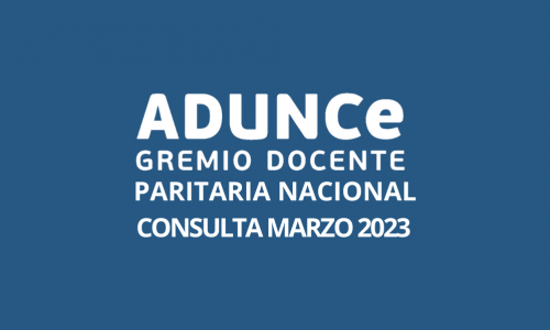 CONSULTA PARITARIA NACIONAL MARZO 2023